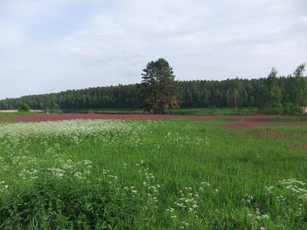 Nature Retreat "Upes Dizvietas" Krāslava Εξωτερικό φωτογραφία
